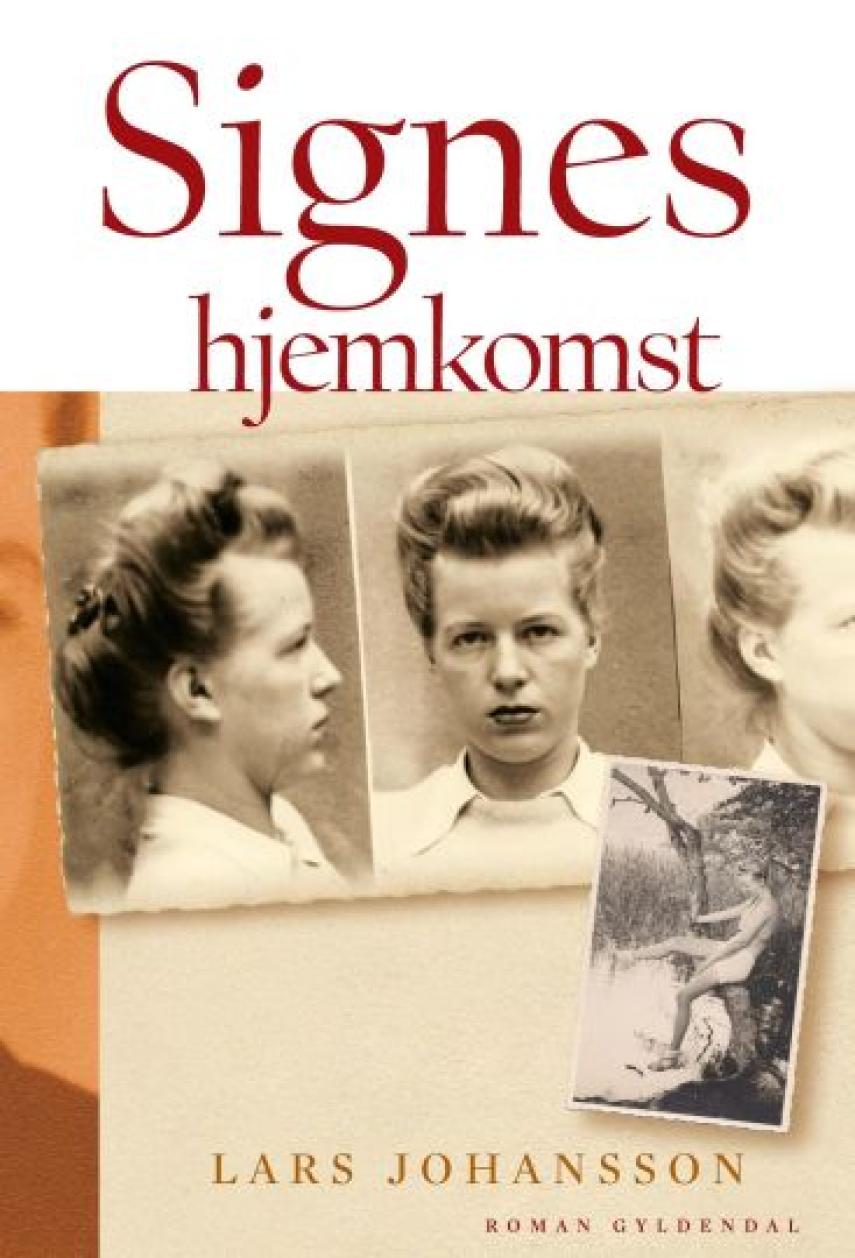 Lars Johansson (f. 1949): Signes hjemkomst : roman
