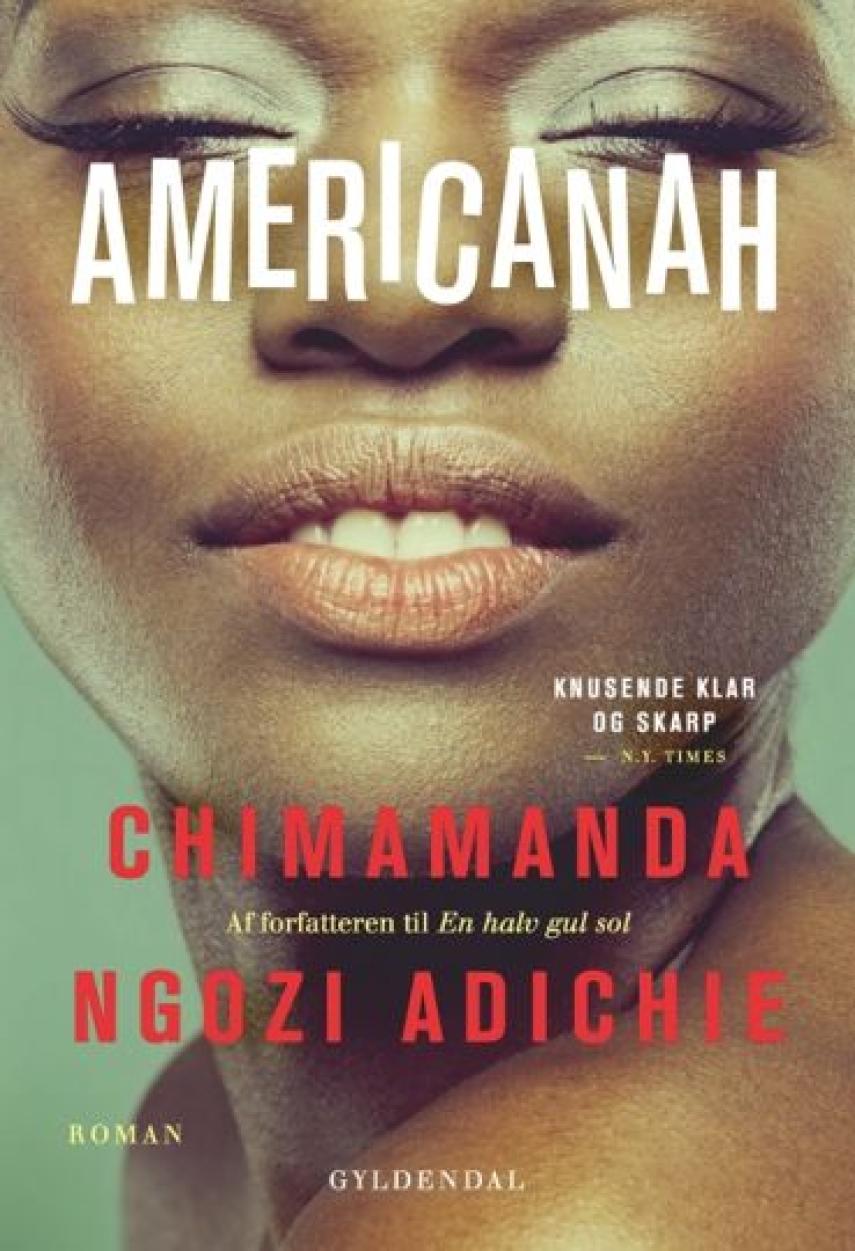 Chimamanda Ngozi Adichie: Americanah : roman