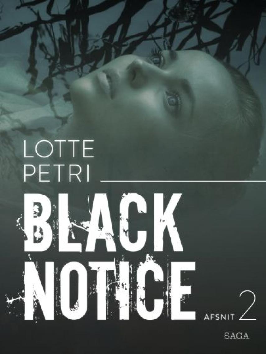 Lotte Petri: Black notice. Afsnit 2